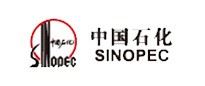 王中特王app体验