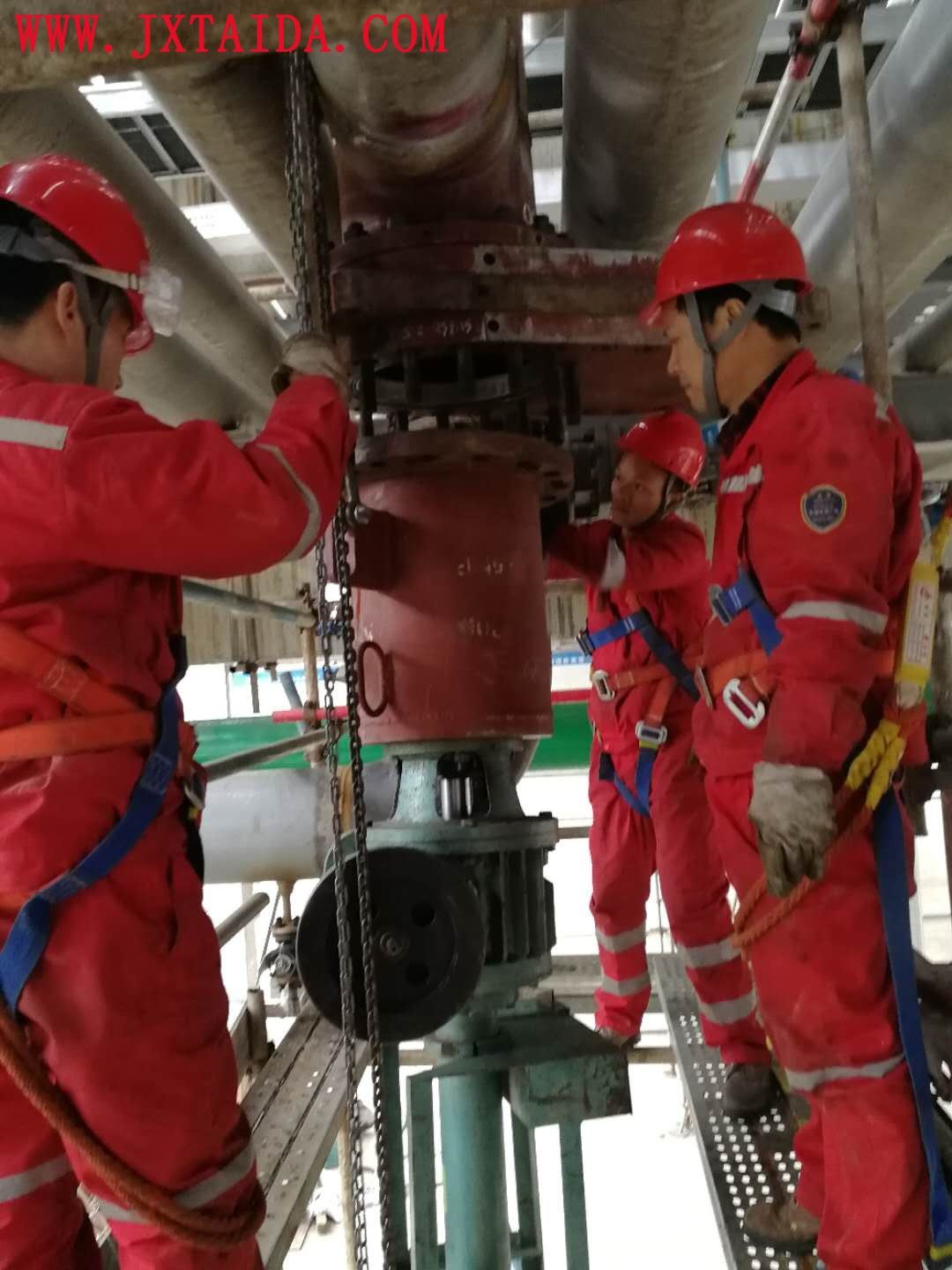 王中特王app体验